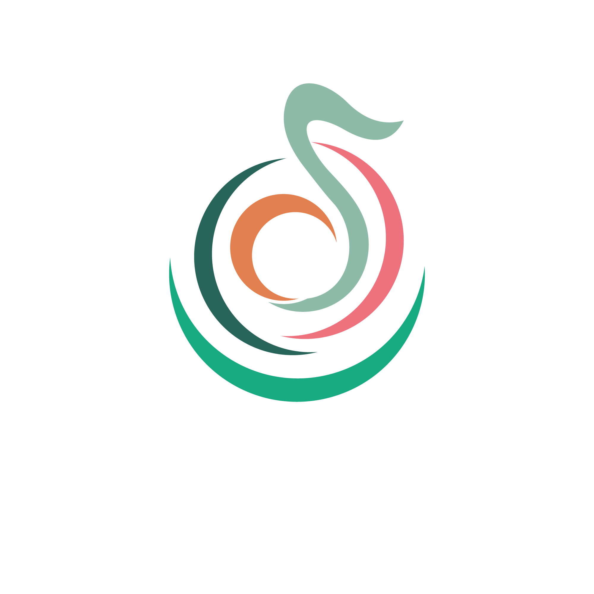 Concertissimo Escuela de Música